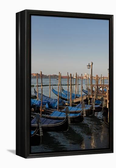 Gondolas Along the Grand Canal in Venice, Italy-David Noyes-Framed Premier Image Canvas