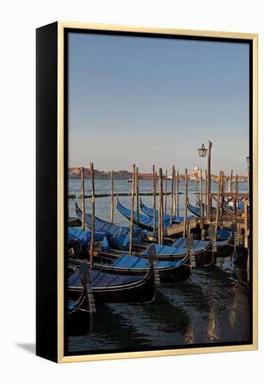 Gondolas Along the Grand Canal in Venice, Italy-David Noyes-Framed Premier Image Canvas