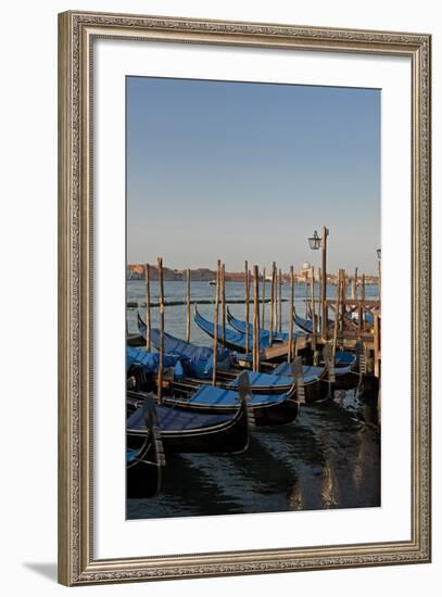 Gondolas Along the Grand Canal in Venice, Italy-David Noyes-Framed Photographic Print