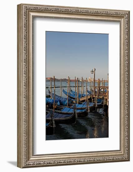 Gondolas Along the Grand Canal in Venice, Italy-David Noyes-Framed Photographic Print