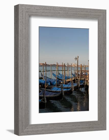 Gondolas Along the Grand Canal in Venice, Italy-David Noyes-Framed Photographic Print