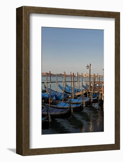 Gondolas Along the Grand Canal in Venice, Italy-David Noyes-Framed Photographic Print