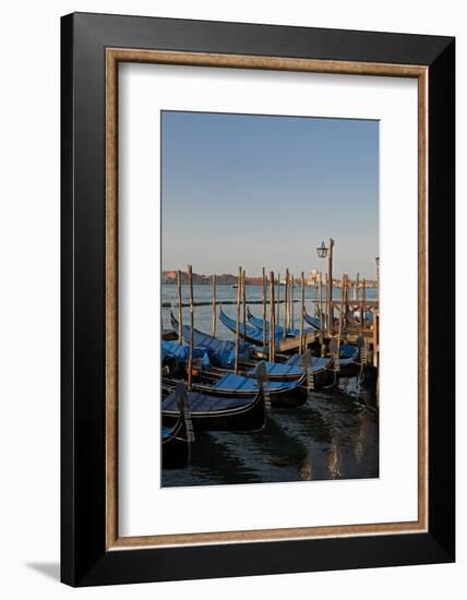 Gondolas Along the Grand Canal in Venice, Italy-David Noyes-Framed Photographic Print