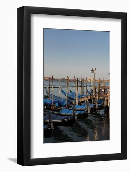 Gondolas Along the Grand Canal in Venice, Italy-David Noyes-Framed Photographic Print