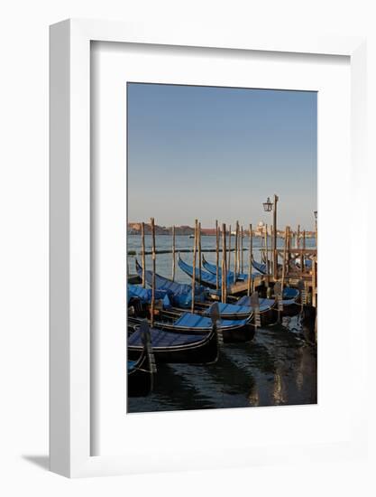 Gondolas Along the Grand Canal in Venice, Italy-David Noyes-Framed Photographic Print