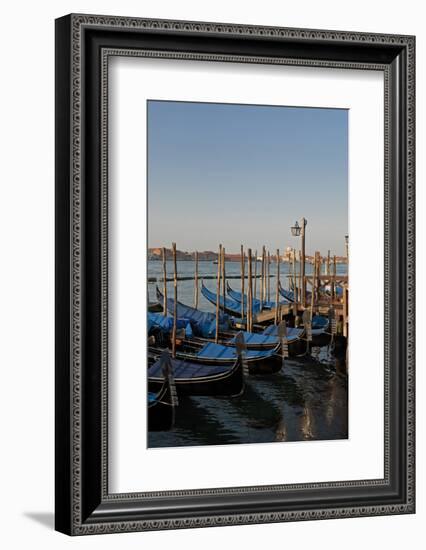 Gondolas Along the Grand Canal in Venice, Italy-David Noyes-Framed Photographic Print