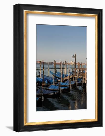 Gondolas Along the Grand Canal in Venice, Italy-David Noyes-Framed Photographic Print