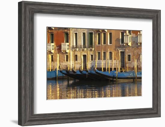 Gondolas Along the Grand Canal in Venice, Italy-David Noyes-Framed Photographic Print