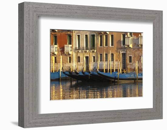 Gondolas Along the Grand Canal in Venice, Italy-David Noyes-Framed Photographic Print