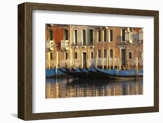 Gondolas Along the Grand Canal in Venice, Italy-David Noyes-Framed Photographic Print