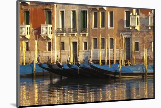 Gondolas Along the Grand Canal in Venice, Italy-David Noyes-Mounted Photographic Print