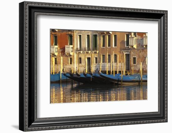 Gondolas Along the Grand Canal in Venice, Italy-David Noyes-Framed Photographic Print