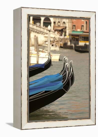 Gondolas Along the Grand Canal of Venice, Italy-David Noyes-Framed Premier Image Canvas
