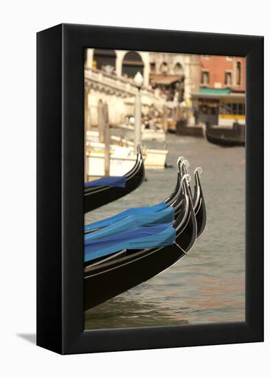 Gondolas Along the Grand Canal of Venice, Italy-David Noyes-Framed Premier Image Canvas