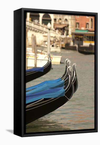 Gondolas Along the Grand Canal of Venice, Italy-David Noyes-Framed Premier Image Canvas