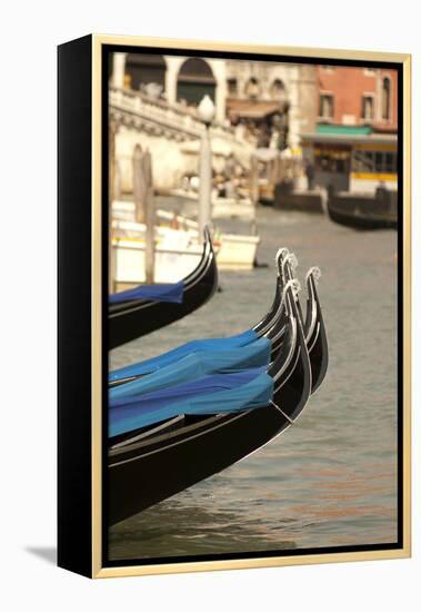 Gondolas Along the Grand Canal of Venice, Italy-David Noyes-Framed Premier Image Canvas