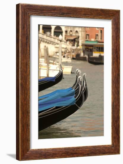 Gondolas Along the Grand Canal of Venice, Italy-David Noyes-Framed Photographic Print