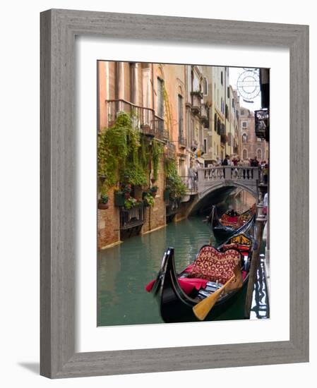 Gondolas Moored along Grand Canal, Venice, Italy-Lisa S^ Engelbrecht-Framed Photographic Print