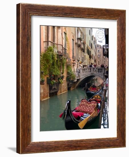 Gondolas Moored along Grand Canal, Venice, Italy-Lisa S^ Engelbrecht-Framed Photographic Print