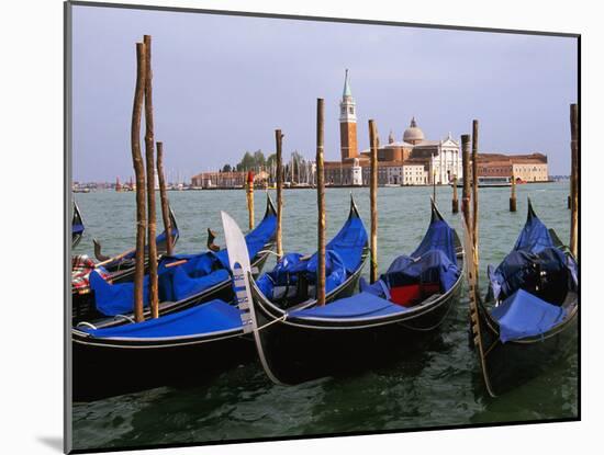 Gondolas near Piazza San Marco, Venice, Italy-Tom Haseltine-Mounted Photographic Print