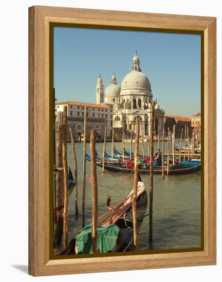 Gondolas near the Grand Canal and the Santa Maria Della Salute, Venice, Italy-Janis Miglavs-Framed Premier Image Canvas