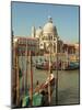 Gondolas near the Grand Canal and the Santa Maria Della Salute, Venice, Italy-Janis Miglavs-Mounted Photographic Print