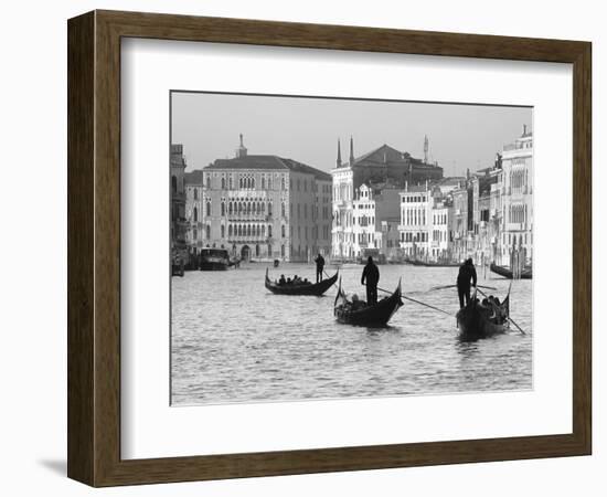 Gondoliers on the Gran Canal, Venice, Veneto Region, Italy-Nadia Isakova-Framed Photographic Print