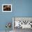 Gondoliers Straw Hats, Venice, Italy, Europe-James Emmerson-Framed Photographic Print displayed on a wall