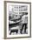 Gondoliers, Venice, Italy-Walter Bibikow-Framed Photographic Print