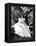 Gone with the Wind, Vivien Leigh, 1939-null-Framed Stretched Canvas