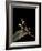 Gongylus Gongylodes (Wandering Violin Mantis)-Paul Starosta-Framed Photographic Print