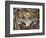 Gonzaga Family in Adoration of the Holy Trinity-Peter Paul Rubens-Framed Giclee Print