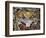 Gonzaga Family in Adoration of the Holy Trinity-Peter Paul Rubens-Framed Giclee Print