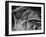 Good Bones Mono-Doug Chinnery-Framed Photographic Print