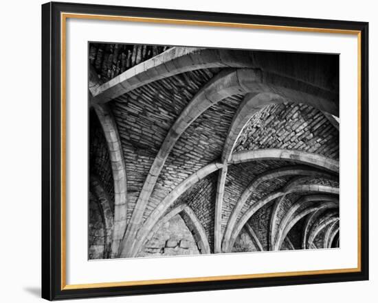 Good Bones Mono-Doug Chinnery-Framed Photographic Print