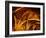 Good Bones-Doug Chinnery-Framed Photographic Print