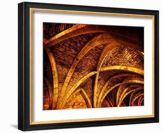 Good Bones-Doug Chinnery-Framed Photographic Print