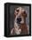 Good Boy I-Jennifer Parker-Framed Stretched Canvas