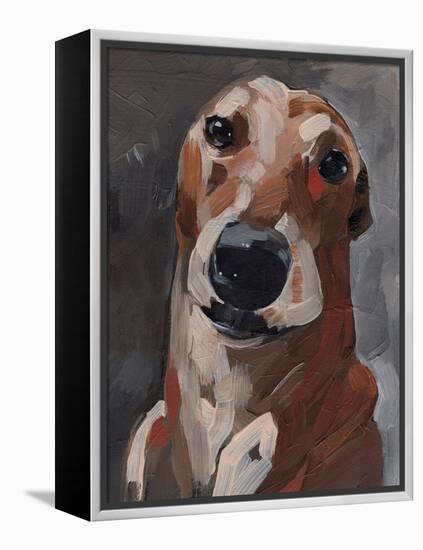 Good Boy I-Jennifer Parker-Framed Stretched Canvas