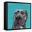 Good Boy-Melissa Symons-Framed Stretched Canvas