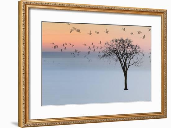 Good Day-Andre Villeneuve-Framed Photographic Print