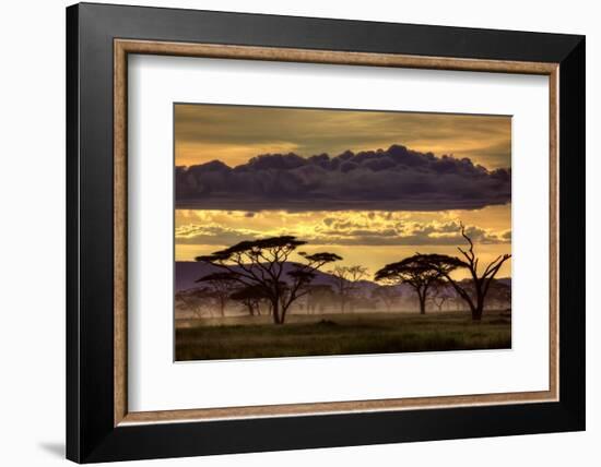 Good Evening Tanazania-Amnon Eichelberg-Framed Photographic Print