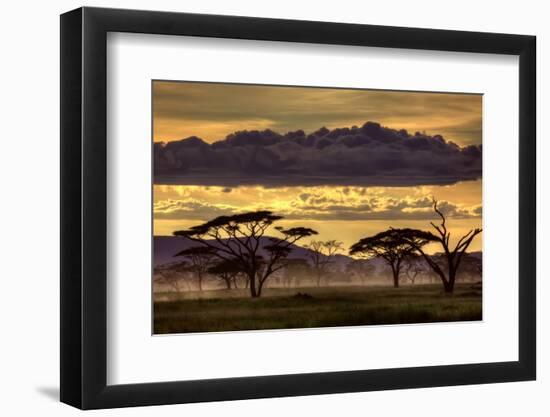 Good Evening Tanazania-Amnon Eichelberg-Framed Photographic Print