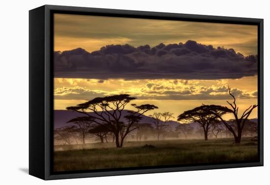 Good Evening Tanazania-Amnon Eichelberg-Framed Premier Image Canvas