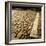 Good Example of American Stonework, famous cobblestones of Main Street in Nantucket 1850-Walker Evans-Framed Photographic Print