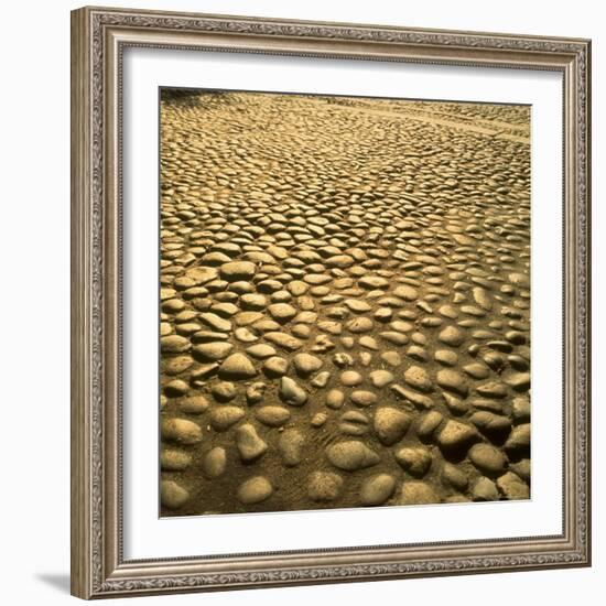 Good Example of American Stonework, famous cobblestones of Main Street in Nantucket 1850-Walker Evans-Framed Photographic Print