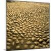 Good Example of American Stonework, famous cobblestones of Main Street in Nantucket 1850-Walker Evans-Mounted Photographic Print