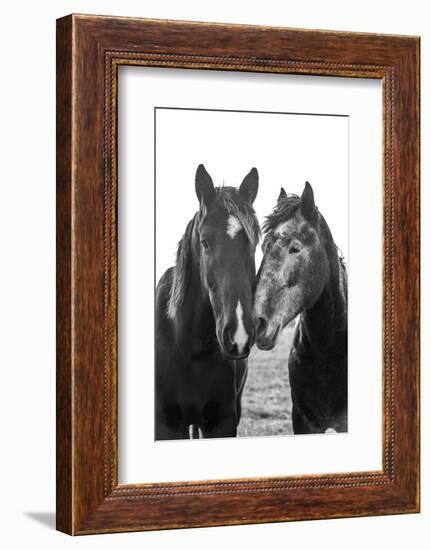 Good Friends Mane-Aledanda-Framed Photographic Print