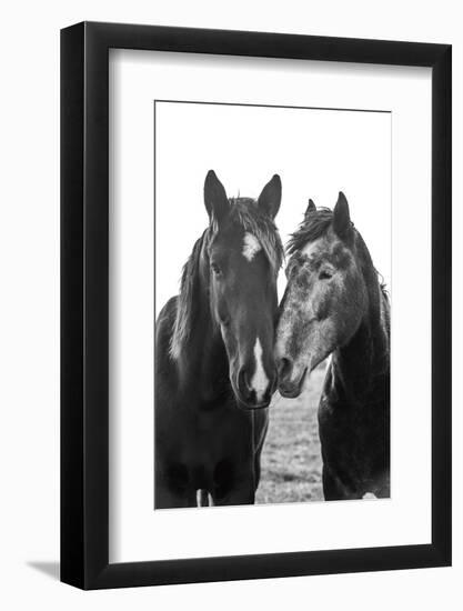 Good Friends Mane-Aledanda-Framed Photographic Print