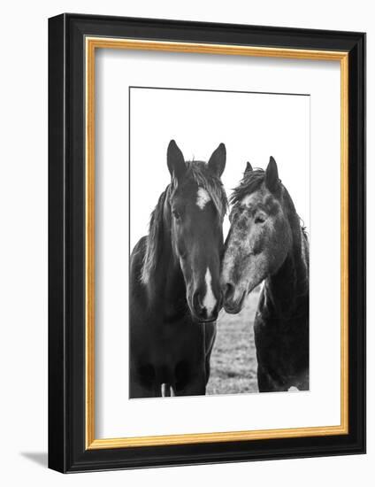 Good Friends Mane-Aledanda-Framed Photographic Print